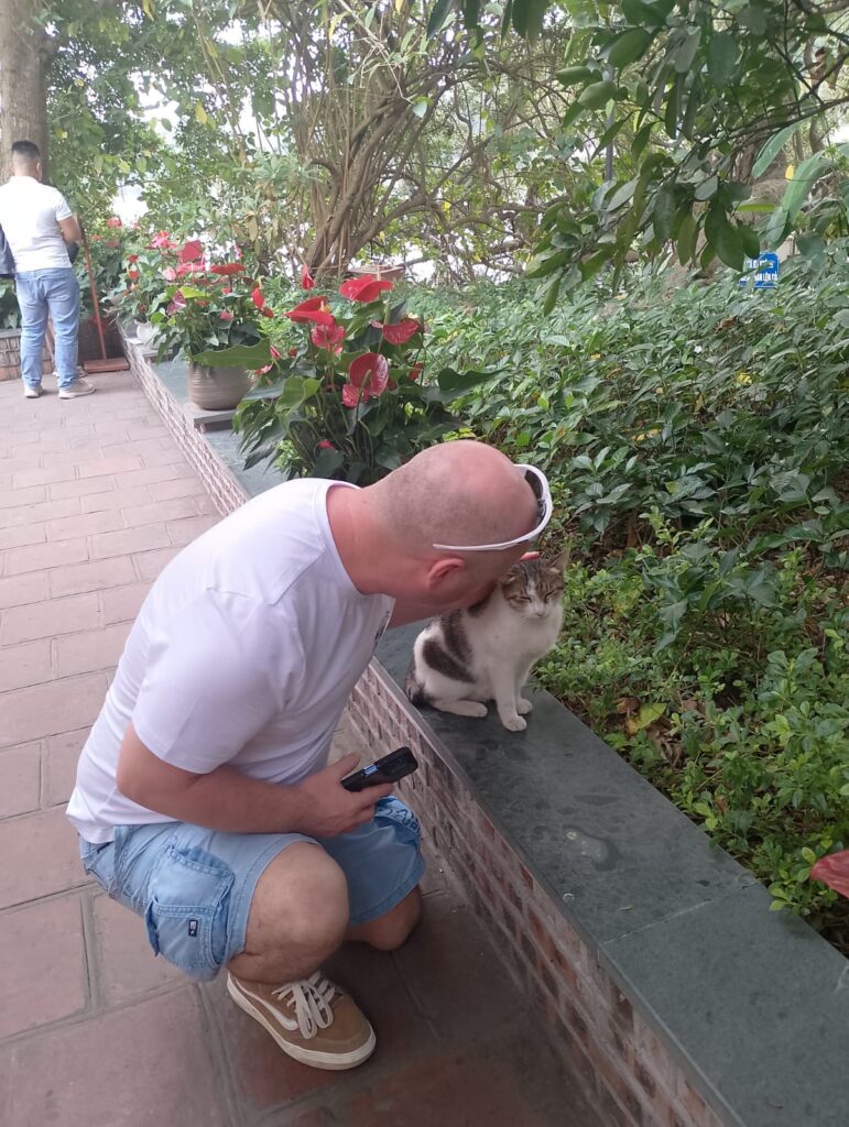 Hanoi's Buddha cat