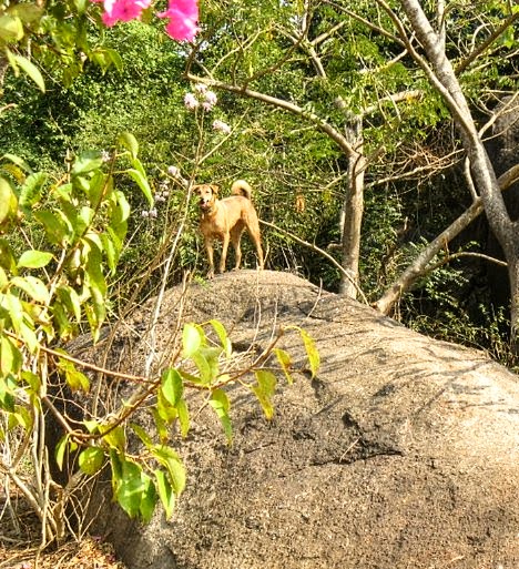 Palolem in South Goa 